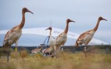 Фото aif.ru