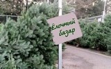 Фото kp.ru