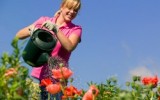 Фото homepeople.ru