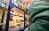 Источник -socium.2012vesti.ru