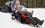 Источник - photoline.ru