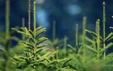 Источник - img.nr2.ru