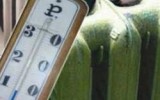 Фото ura.ru
