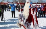 Фото newsvo.ru