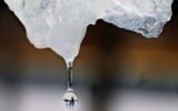 Фото stvnews.ru