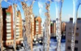 Фото spbmy.ru