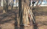 Фото newsvo.ru