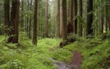 Фото realto.ru