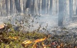 Фото youreporter.ru