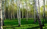 Фото gomelnews.ru