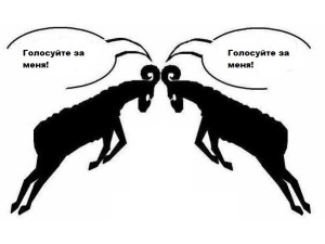 vibory_vologda