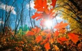 Фото go32.ru