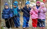 Фото newsvo.ru