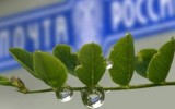 Фото nv86.ru