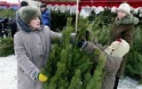 Источник - infovoronezh.ru