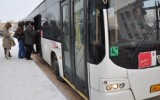 Фото newsvo.ru