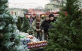 Фото bereg23.ru